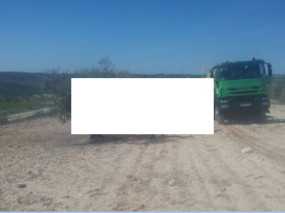 Xylella fastidiosa